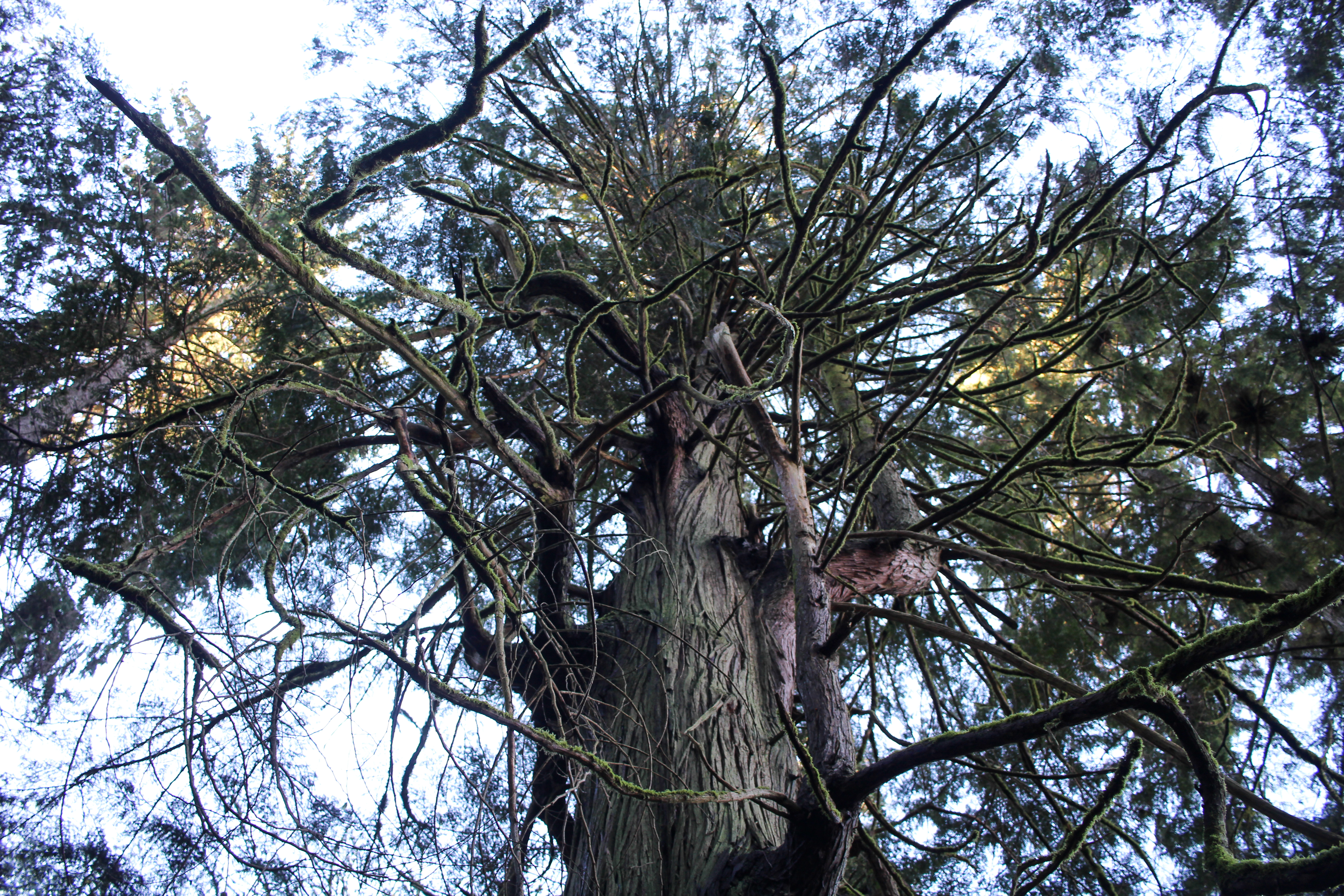 photo dec 30, 3 25 05 pm