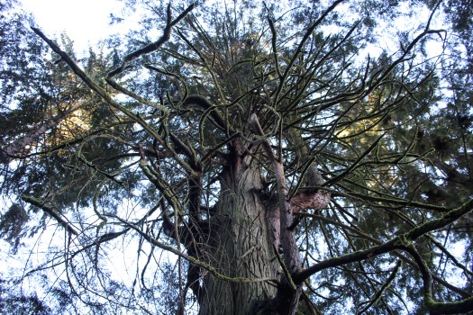 photo dec 30, 3 25 05 pm