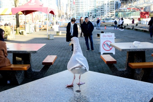 photo dec 31, 2 42 42 pm