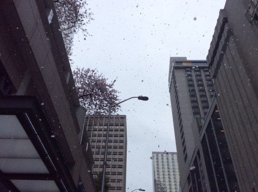 48fbbf45-baf9-411a-84ea-dfc98569eefc