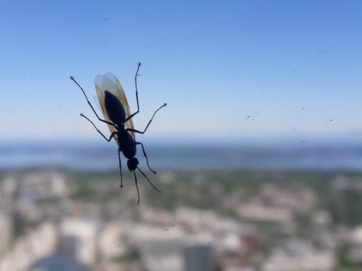 05f7dbea-be4e-44e9-8e6a-763e995ee65f